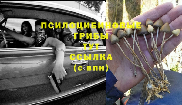 ALPHA PVP Богданович