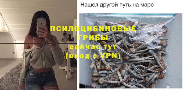 COCAINE Богородицк