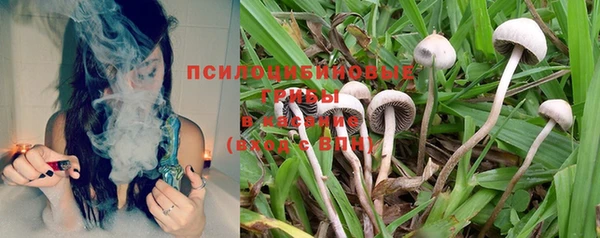 ALPHA PVP Богданович