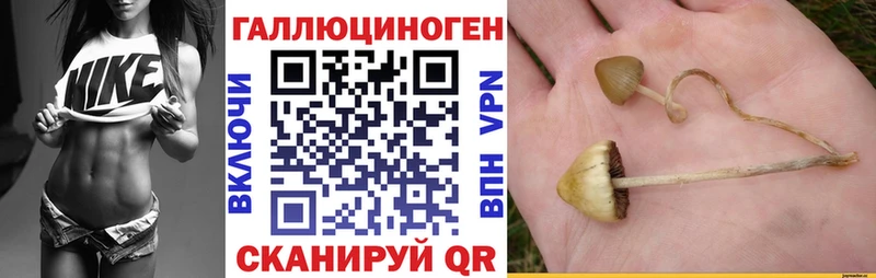 Псилоцибиновые грибы MAGIC MUSHROOMS Купить закладки Краснозаводск